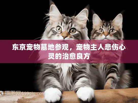 东京宠物墓地参观，宠物主人悲伤心灵的治愈良方