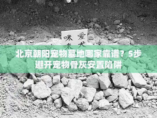 北京朝阳宠物墓地哪家靠谱？5步避开宠物骨灰安置陷阱