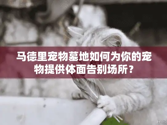 马德里宠物墓地如何为你的宠物提供体面告别场所？