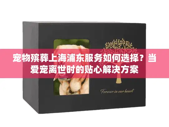 宠物殡葬上海浦东服务如何选择？当爱宠离世时的贴心解决方案