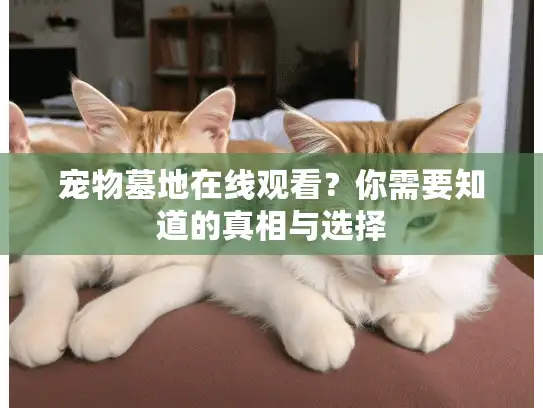 宠物墓地在线观看？你需要知道的真相与选择