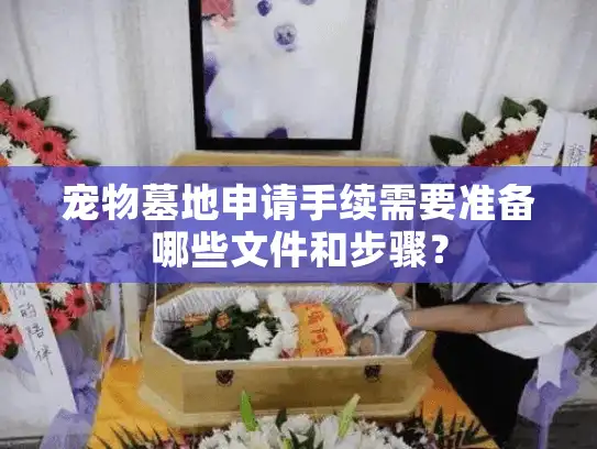 宠物墓地申请手续需要准备哪些文件和步骤？