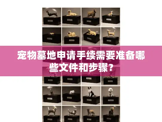 宠物墓地申请手续需要准备哪些文件和步骤？