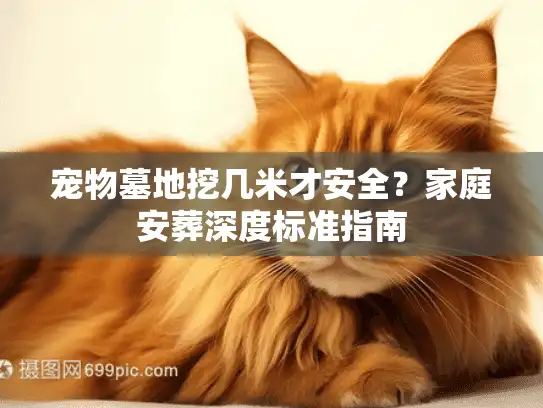 宠物墓地挖几米才安全？家庭安葬深度标准指南
