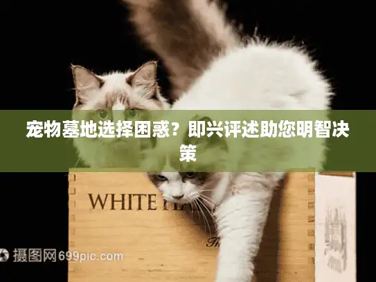 宠物墓地选择困惑？即兴评述助您明智决策