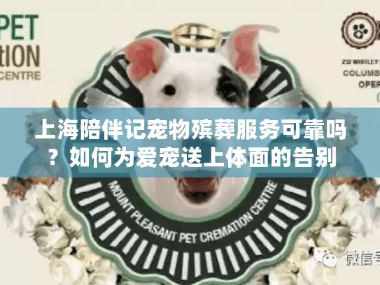 上海陪伴记宠物殡葬服务可靠吗？如何为爱宠送上体面的告别