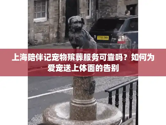 上海陪伴记宠物殡葬服务可靠吗？如何为爱宠送上体面的告别