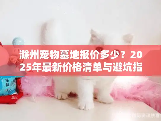 滁州宠物墓地报价多少？2025年最新价格清单与避坑指南