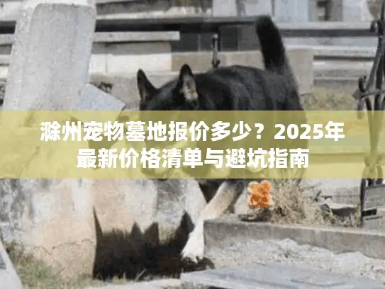 滁州宠物墓地报价多少？2025年最新价格清单与避坑指南