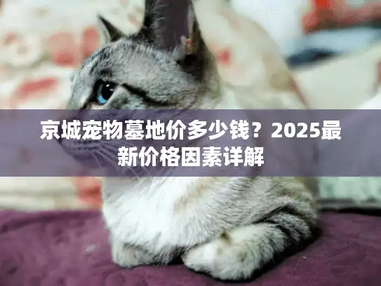 京城宠物墓地价多少钱？2025最新价格因素详解