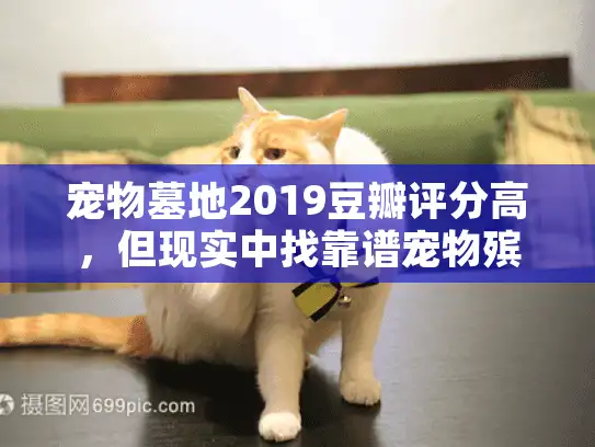 宠物墓地2019豆瓣评分高，但现实中找靠谱宠物殡葬为啥这么难？