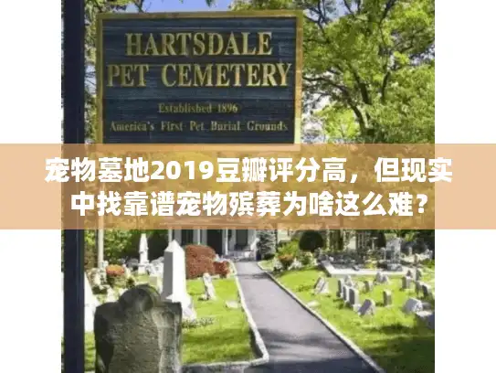 宠物墓地2019豆瓣评分高，但现实中找靠谱宠物殡葬为啥这么难？