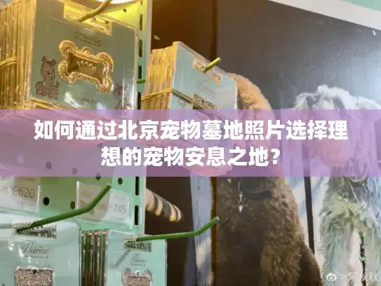如何通过北京宠物墓地照片选择理想的宠物安息之地？