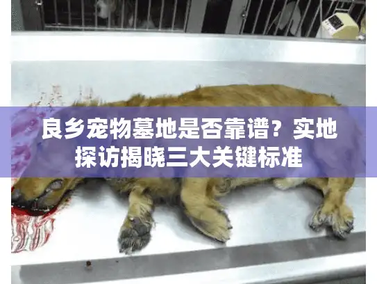 良乡宠物墓地是否靠谱？实地探访揭晓三大关键标准