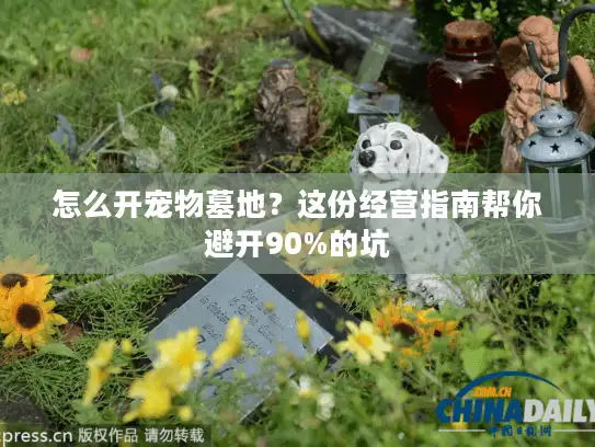 怎么开宠物墓地？这份经营指南帮你避开90%的坑