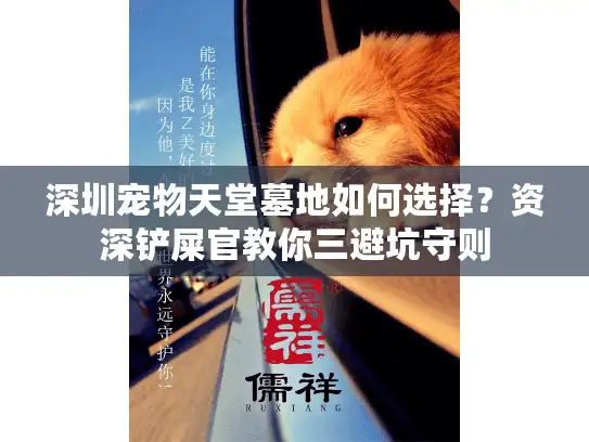深圳宠物天堂墓地如何选择？资深铲屎官教你三避坑守则