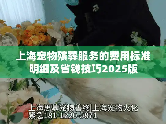 上海宠物殡葬服务的费用标准明细及省钱技巧2025版