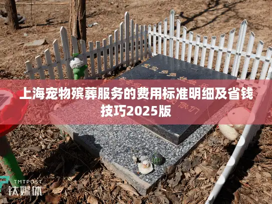 上海宠物殡葬服务的费用标准明细及省钱技巧2025版