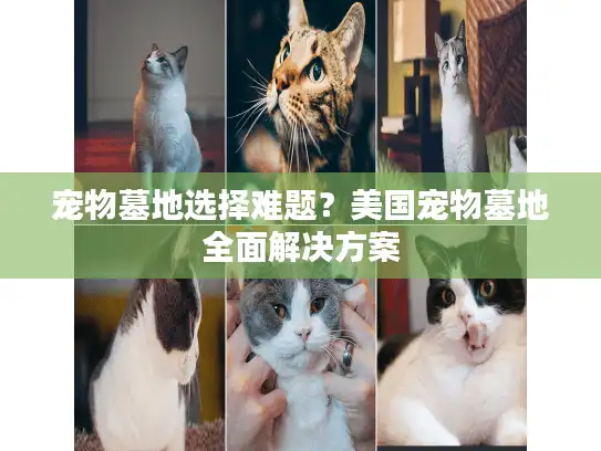 宠物墓地选择难题？美国宠物墓地全面解决方案