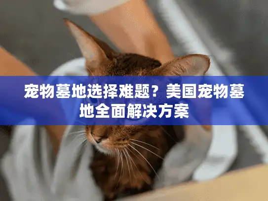 宠物墓地选择难题？美国宠物墓地全面解决方案