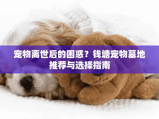 宠物离世后的困惑？钱塘宠物墓地推荐与选择指南