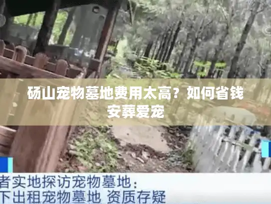 砀山宠物墓地费用太高？如何省钱安葬爱宠