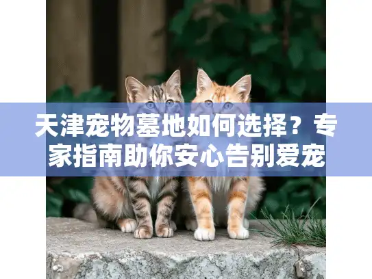 天津宠物墓地如何选择？专家指南助你安心告别爱宠