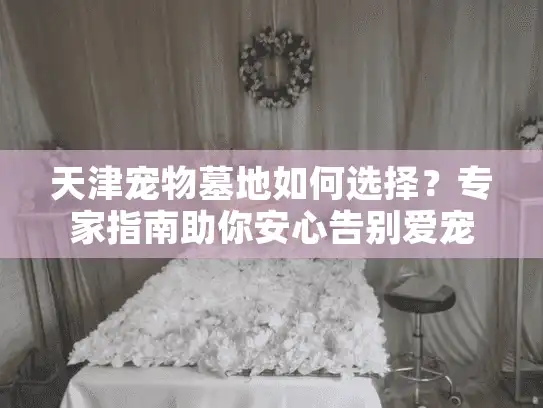 天津宠物墓地如何选择？专家指南助你安心告别爱宠