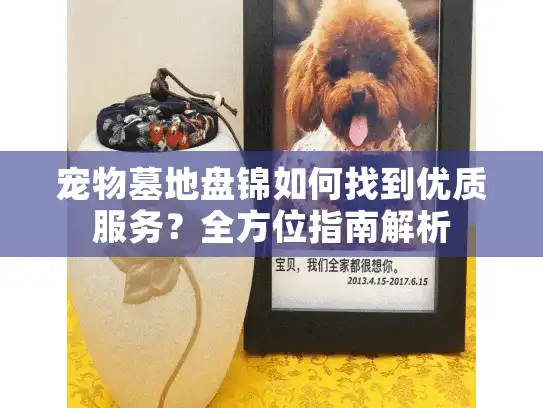 宠物墓地盘锦如何找到优质服务？全方位指南解析