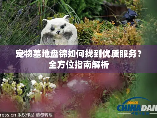 宠物墓地盘锦如何找到优质服务？全方位指南解析