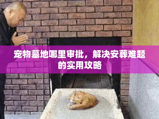 宠物墓地哪里审批，解决安葬难题的实用攻略
