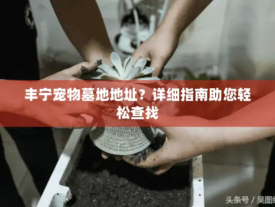 丰宁宠物墓地地址？详细指南助您轻松查找