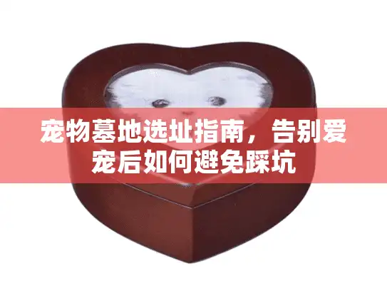 宠物墓地选址指南，告别爱宠后如何避免踩坑