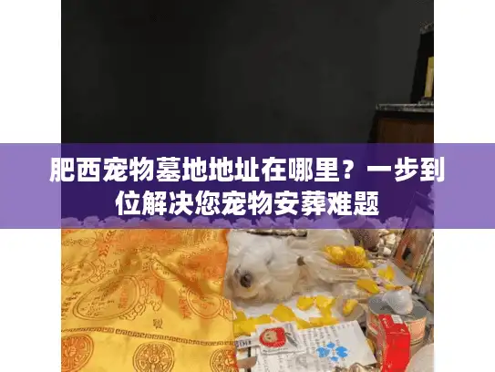 肥西宠物墓地地址在哪里？一步到位解决您宠物安葬难题