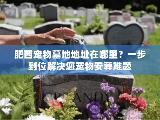 肥西宠物墓地地址在哪里？一步到位解决您宠物安葬难题