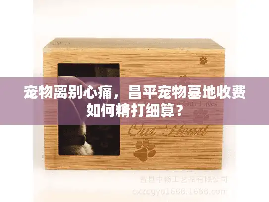 宠物离别心痛，昌平宠物墓地收费如何精打细算？
