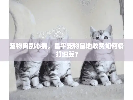 宠物离别心痛，昌平宠物墓地收费如何精打细算？