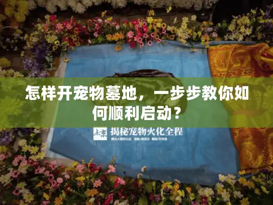 怎样开宠物墓地，一步步教你如何顺利启动？
