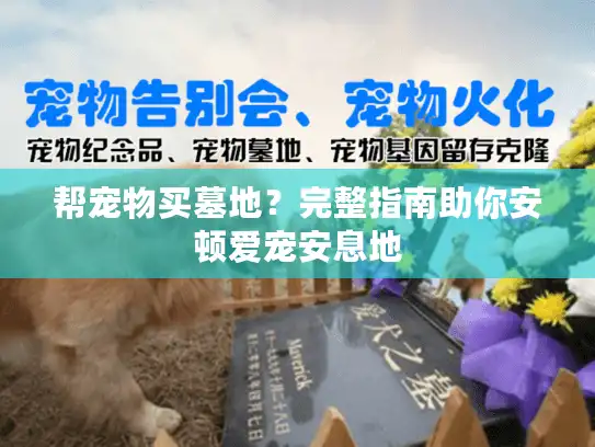 帮宠物买墓地？完整指南助你安顿爱宠安息地