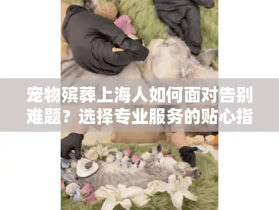 宠物殡葬上海人如何面对告别难题？选择专业服务的贴心指南