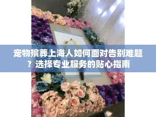 宠物殡葬上海人如何面对告别难题？选择专业服务的贴心指南