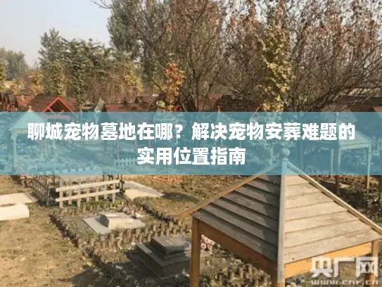 聊城宠物墓地在哪？解决宠物安葬难题的实用位置指南