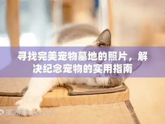 寻找完美宠物墓地的照片，解决纪念宠物的实用指南