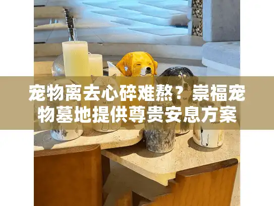 宠物离去心碎难熬？崇福宠物墓地提供尊贵安息方案