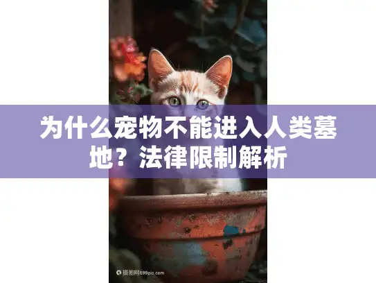 为什么宠物不能进入人类墓地？法律限制解析