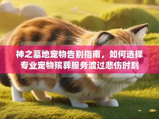 神之墓地宠物告别指南，如何选择专业宠物殡葬服务渡过悲伤时刻