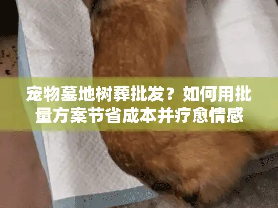宠物墓地树葬批发？如何用批量方案节省成本并疗愈情感