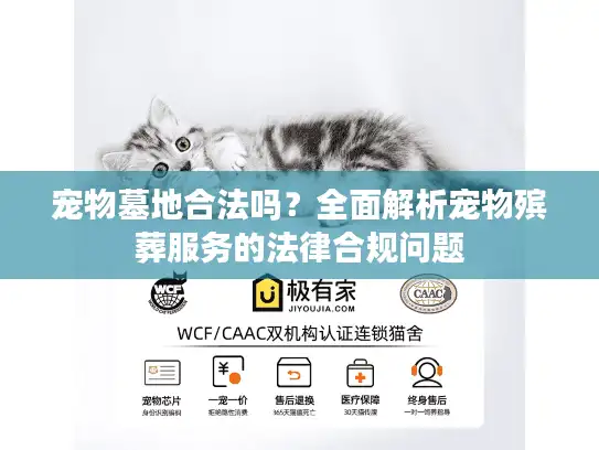 宠物墓地合法吗？全面解析宠物殡葬服务的法律合规问题