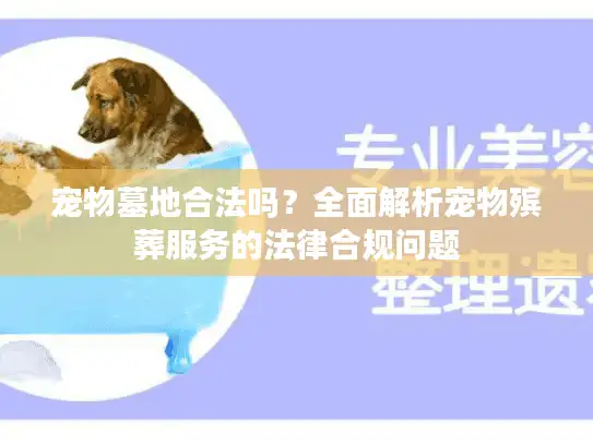 宠物墓地合法吗？全面解析宠物殡葬服务的法律合规问题