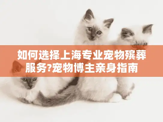 如何选择上海专业宠物殡葬服务?宠物博主亲身指南